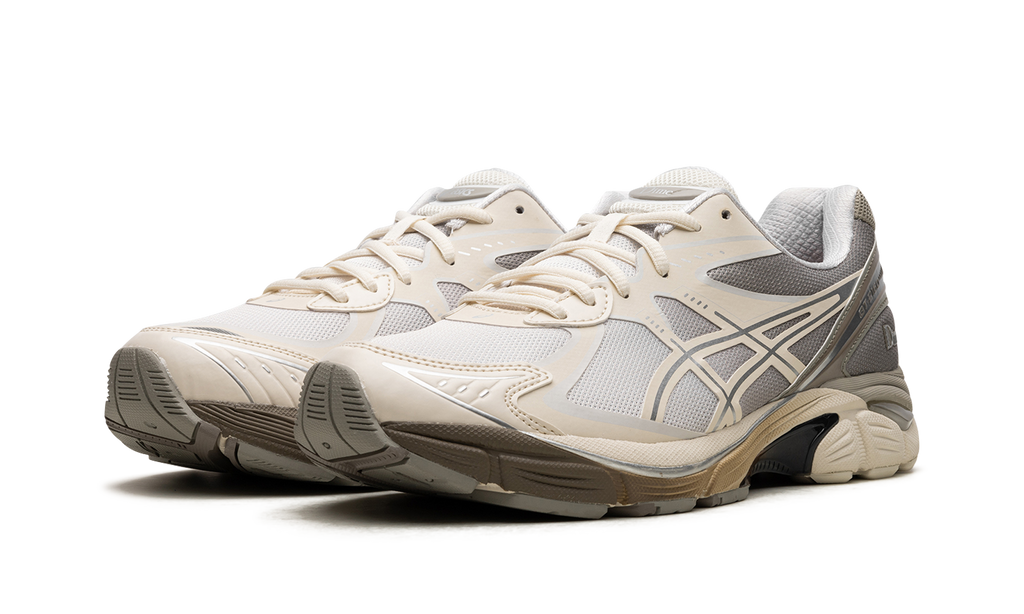 Asics GT-2160 DIME Arctic Wolf 1201A887 100