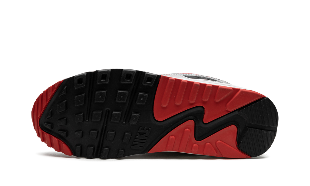 Nike Air Max 90 Icons - Silver Bullet DX4233 001