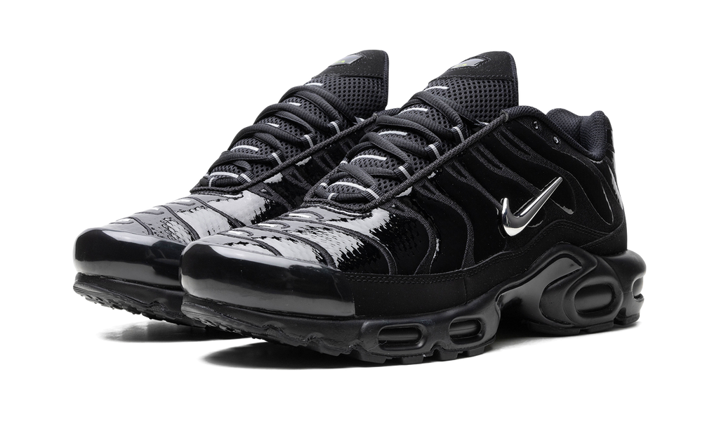 Nike Air Max Plus Metallic Black FJ2591 001