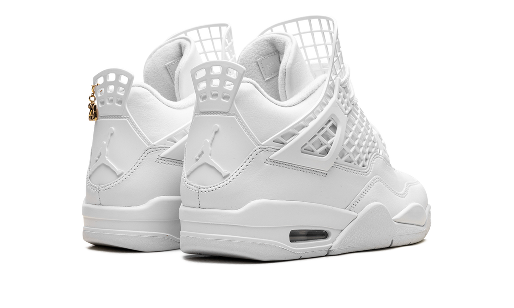 Air Jordan 4 WMNS Net FN7251 107