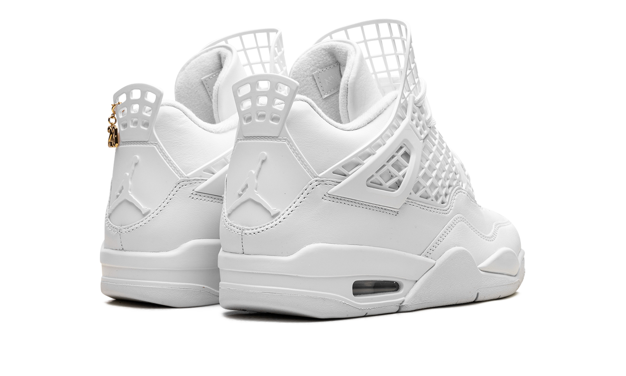 Air Jordan 4 WMNS Net FN7251 107