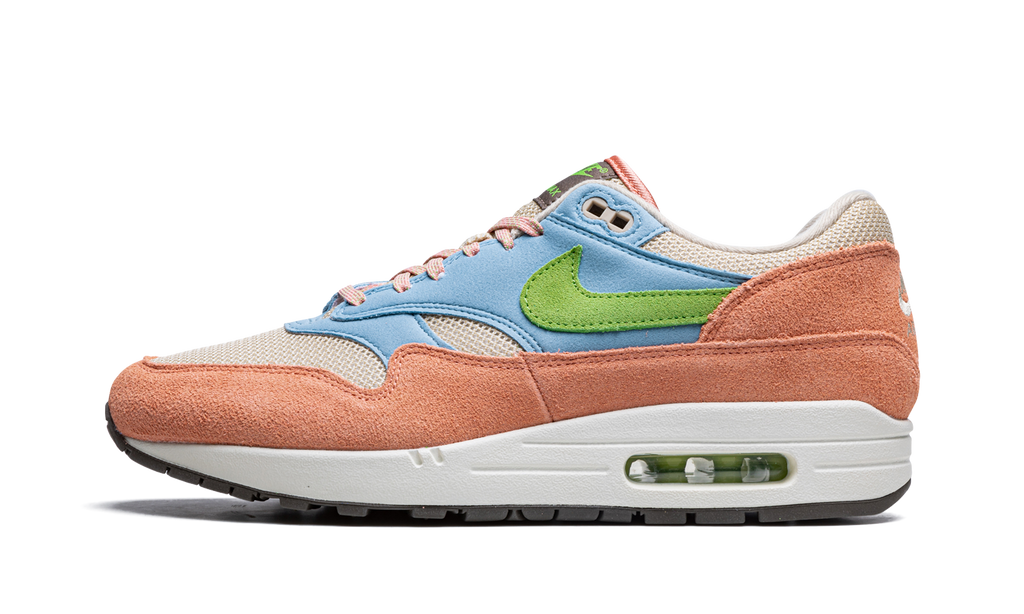 Nike Air Max 1 Light Madder Root DV3196 800