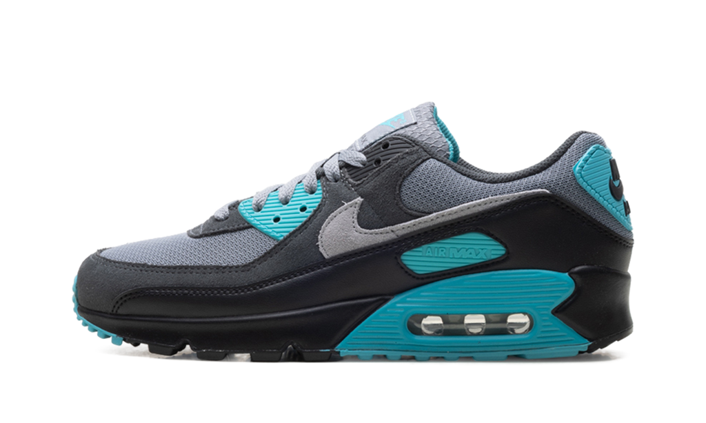 Nike Air Max 90 Dusty Cactus DM0029 013