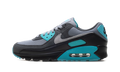 Nike Air Max 90 Dusty Cactus DM0029 013