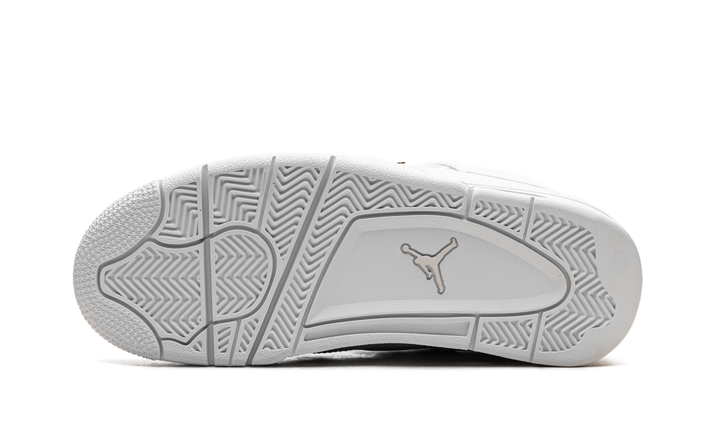 Air Jordan 4 WMNS Net FN7251 107