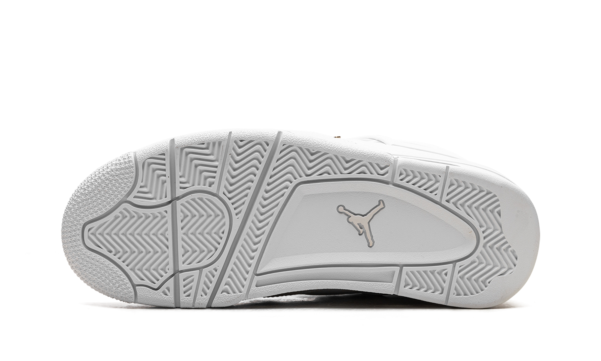 Air Jordan 4 WMNS Net FN7251 107
