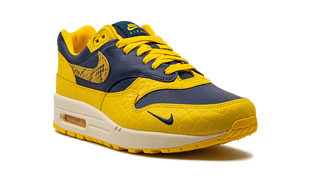 Nike AIR MAX 1 PRM MNS WMNS Co.jp Head to Head FJ5479 410