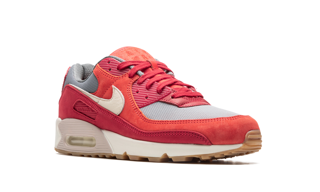 Nike Air Max 90 PRM Gym Red DH4621 600