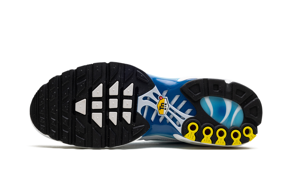 Nike Air Max Plus Blue Gaze 852630 411