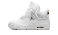Air Jordan 4 WMNS Net FN7251 107