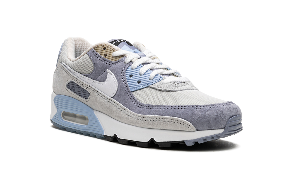 Nike Air Max 90 Ashen Slate DM0035 400