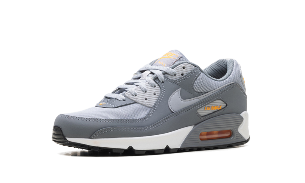 Nike Air Max 90 Cool Grey Sundial HV6224 002