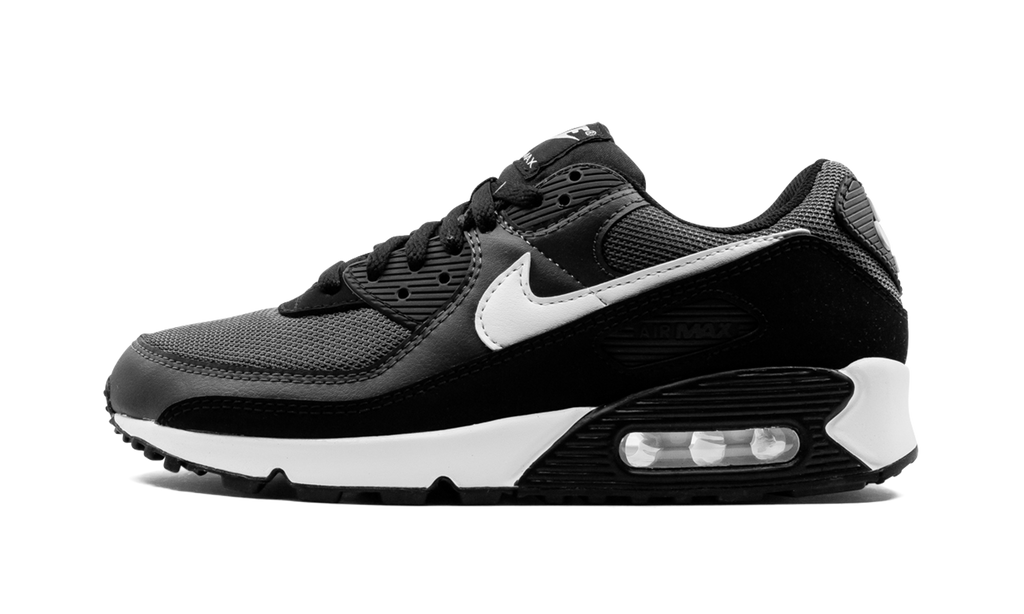 Nike Air Max 90 Iron Grey CN8490 002