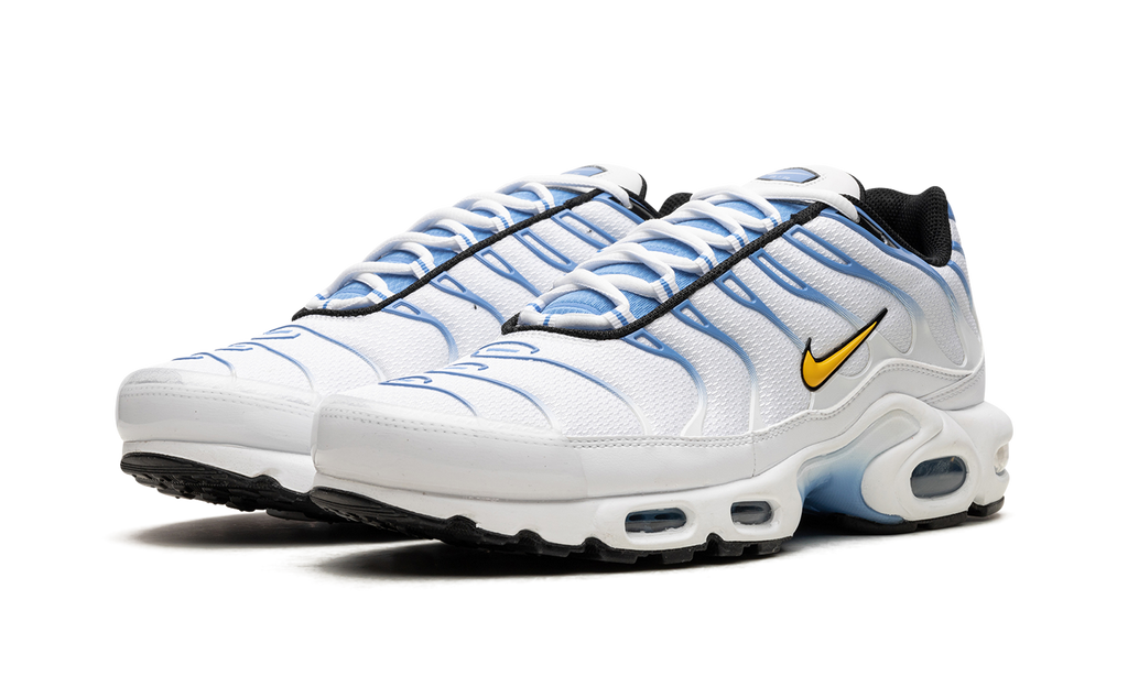 Nike Air Max Plus White University Blue DM0032 101