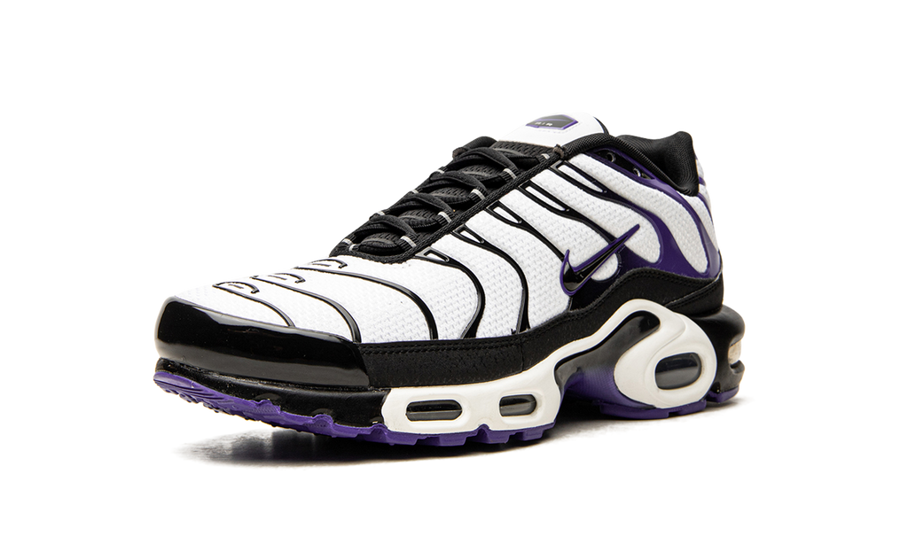 Nike Air Max Plus Persian Violet DB0682 100