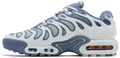 Nike Air Max Plus Drift Wmns Ashen Slate FV4081 101
