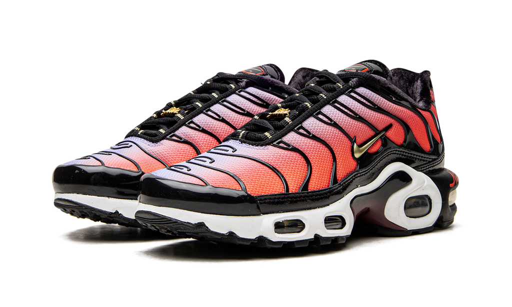 Nike AIR MAX PLUS MNS WMNS Sisterhood DO6115 500