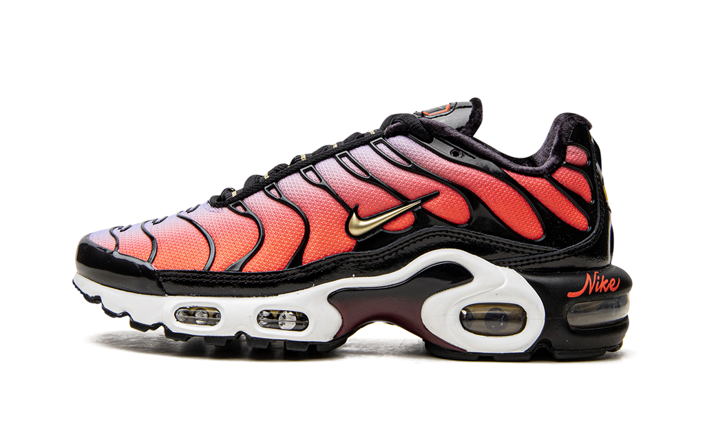 Nike AIR MAX PLUS MNS WMNS Sisterhood DO6115 500