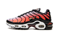 Nike AIR MAX PLUS MNS WMNS Sisterhood DO6115 500
