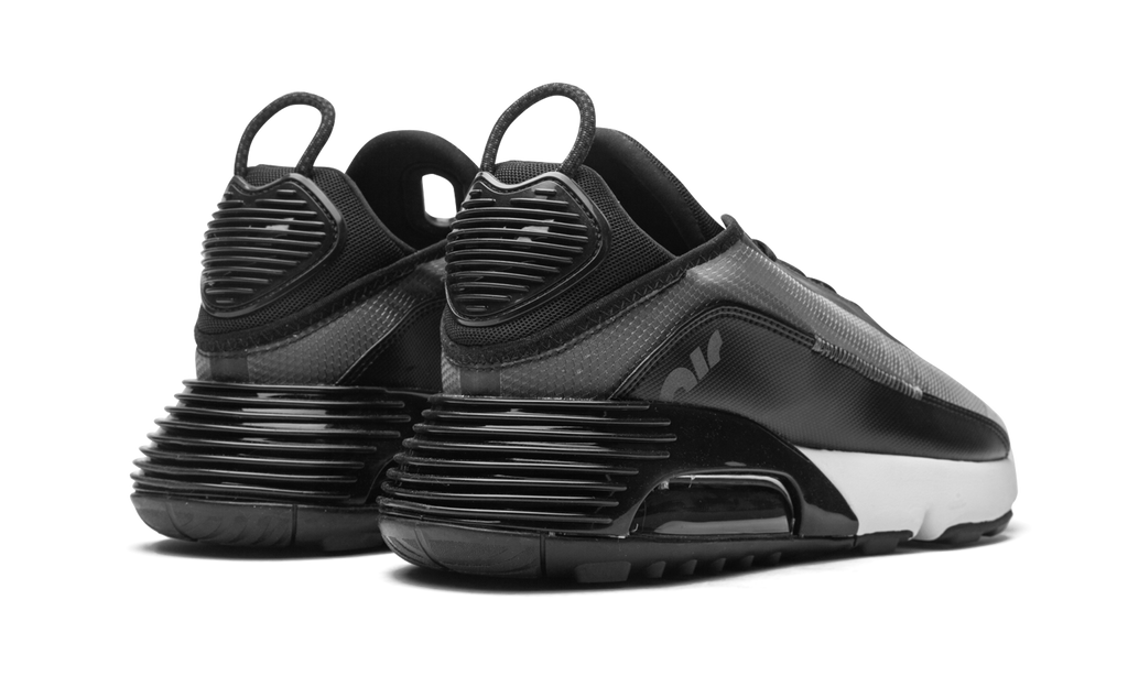 Nike AIR MAX 2090 Black / Wolf Grey CW7306 001