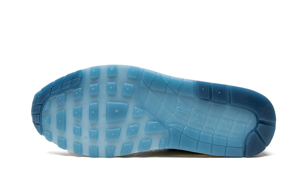 Nike Air Max 1 Blueprint DR0448 100