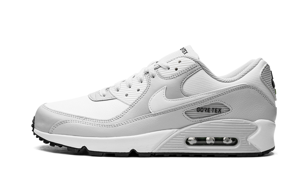 Nike Air Max 90 Gore-Tex DJ9779 003