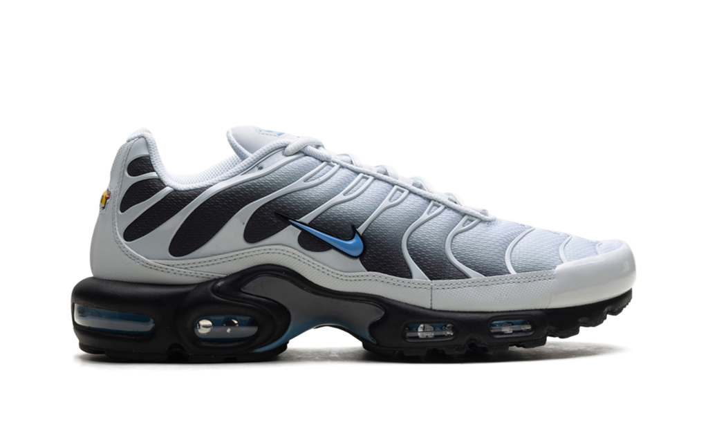Nike Air Max Plus Grey University Blue Black DM0032 015