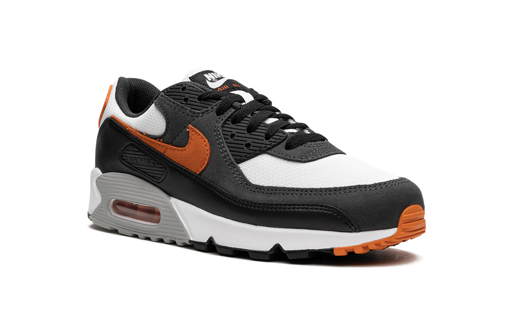 Nike Air Max 90 Starfish DM0029 101