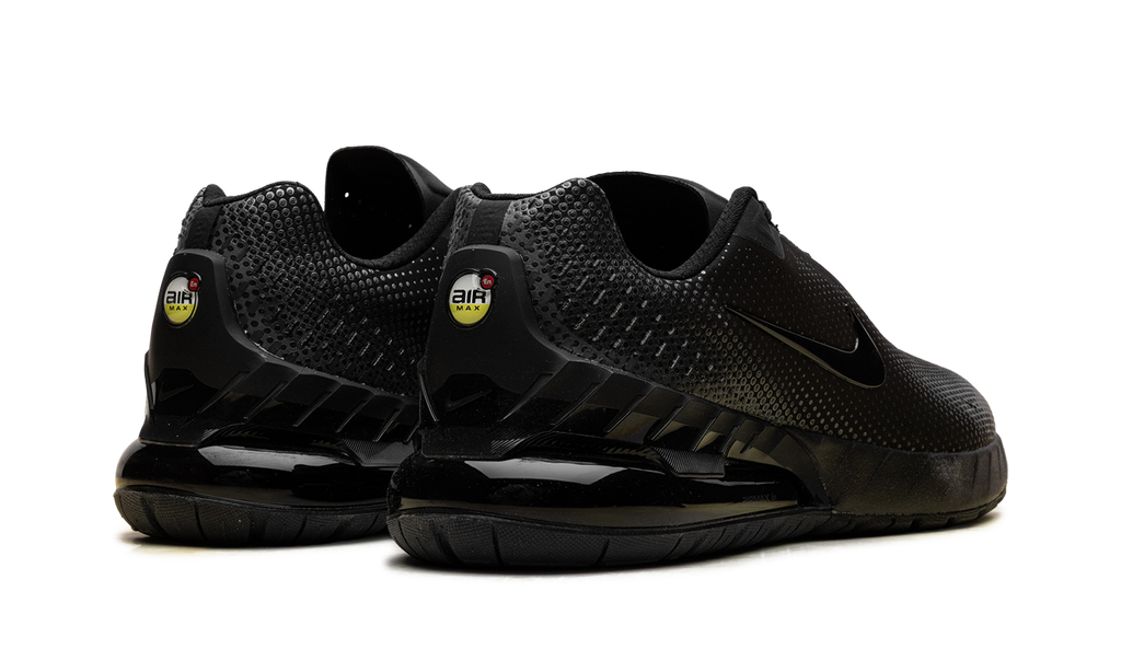 Nike Air Max Phoenix Black Anthracite FZ5307 004