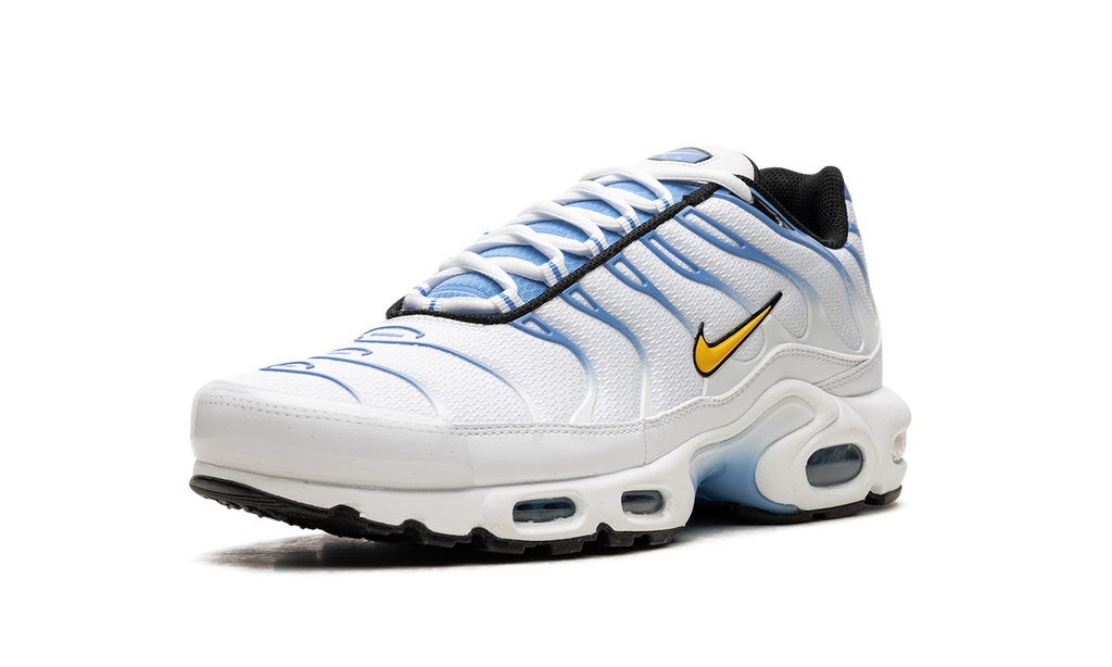 Nike Air Max Plus White University Blue DM0032 101