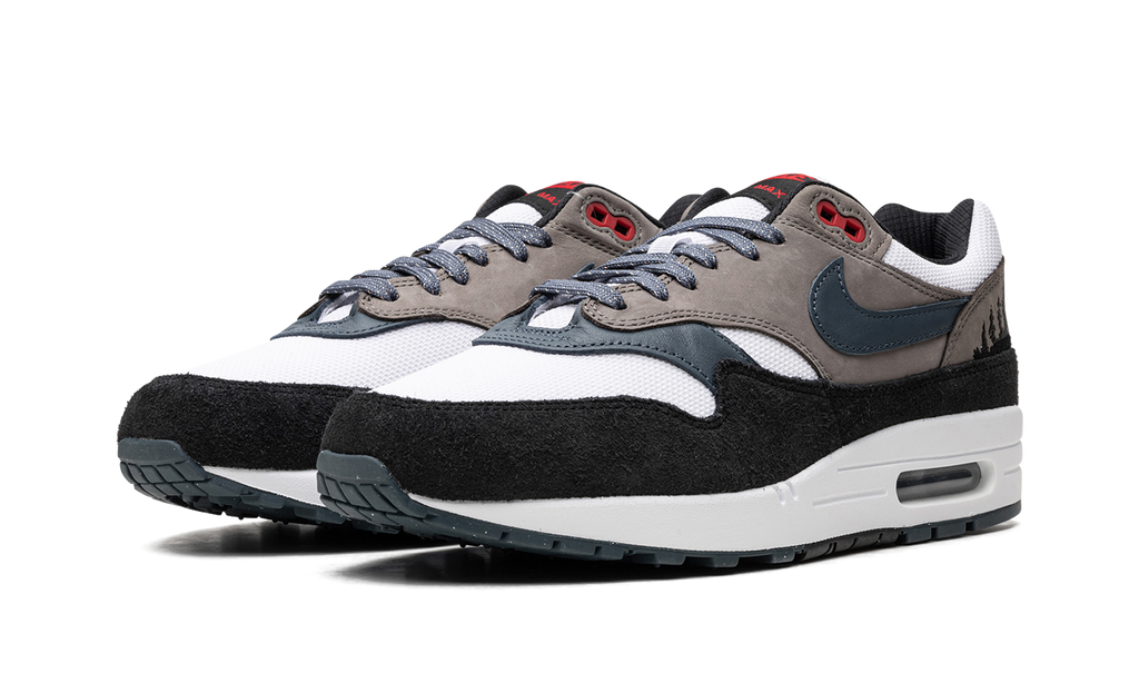 Nike Air Max 1 Slate Blue FJ0698 100