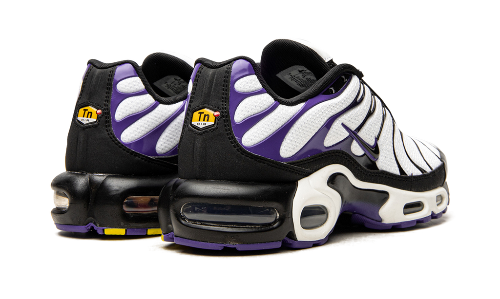 Nike Air Max Plus Persian Violet DB0682 100
