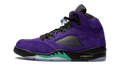 Air Jordan 5 Retro Alternate Grape 136027 500