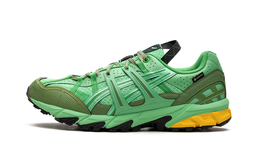 Asics HS4-S Gel-Sonoma 15-50 Gore-TEX Spring Bouquet 1201A440 300