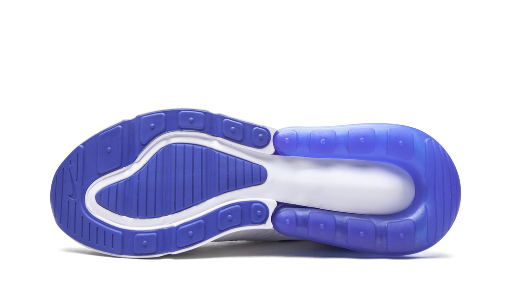 Nike Air Max 270 Kentucky DH0268 100