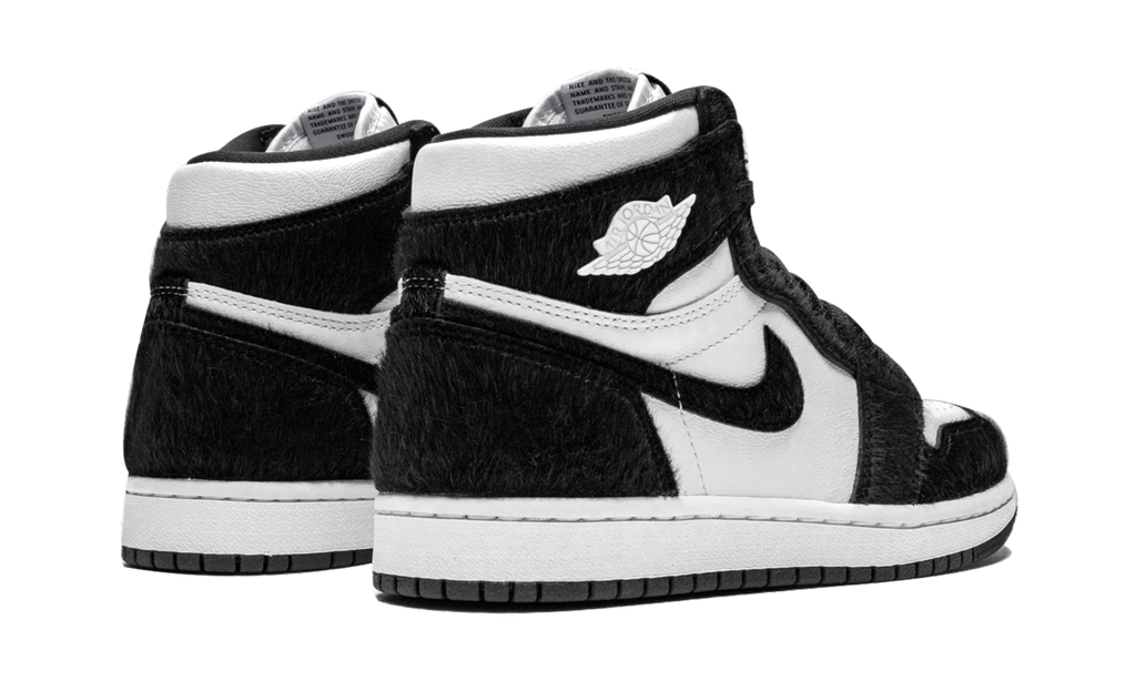 AIR JORDAN 1 RETRO HIGH OG WMNS Twist CD0461 007
