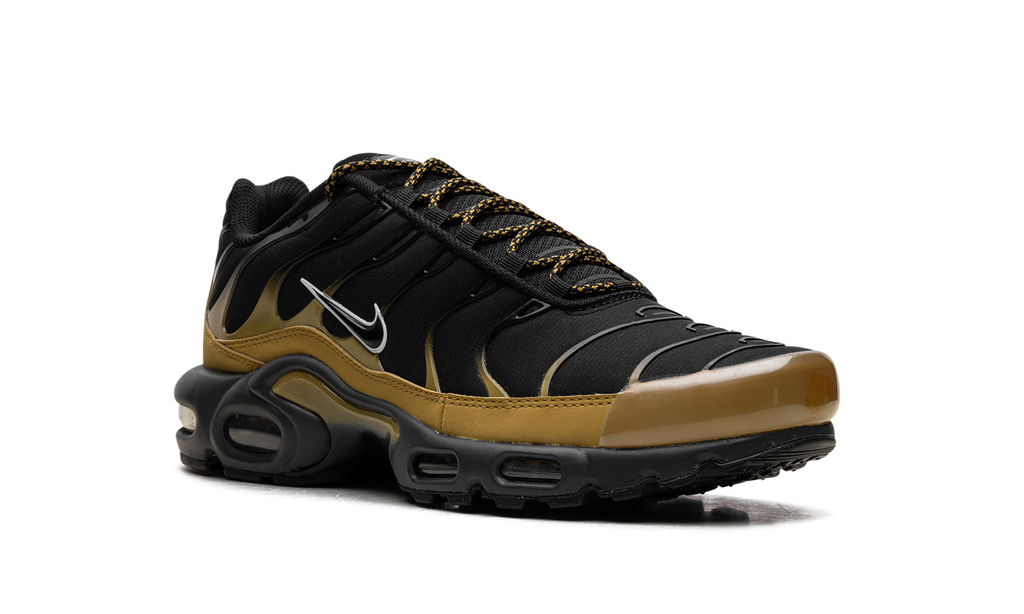 Nike AIR MAX PLUS Black FB9722-700