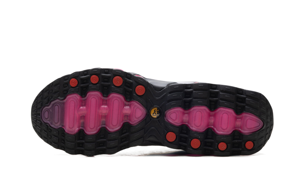 Nike Air Max Dn8 Smoke Grey / Pink Blast IH4119 004