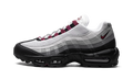 Nike Air Max OG 95 Dark Beetroot DQ9001 001