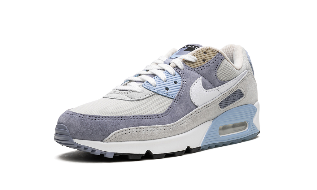 Nike Air Max 90 Ashen Slate DM0035 400