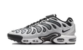 Nike Air Max Plus Drift White Black Metallic Silver FD4290 101