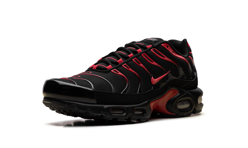 Nike Air Max Plus Bred CU4864 001