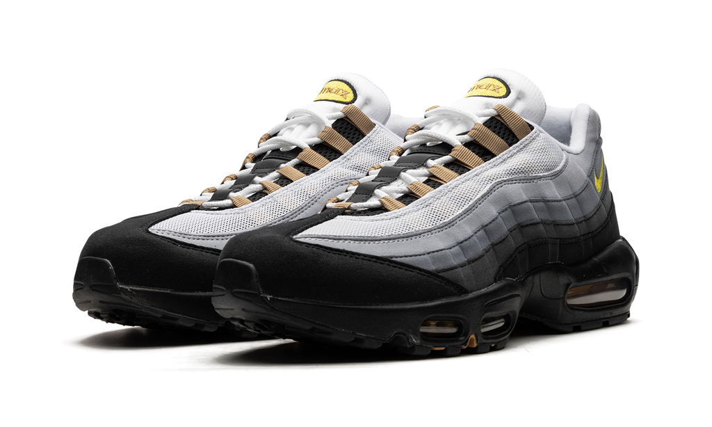 Nike Air Max 95 ICONS DX4236 100