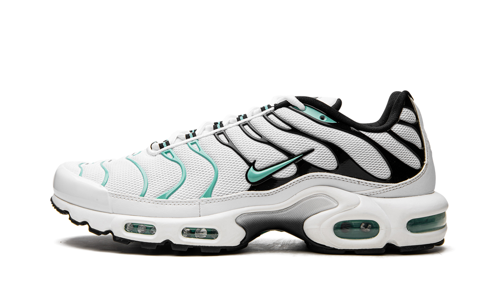 Nike Air Max Plus Atmos 604133 148