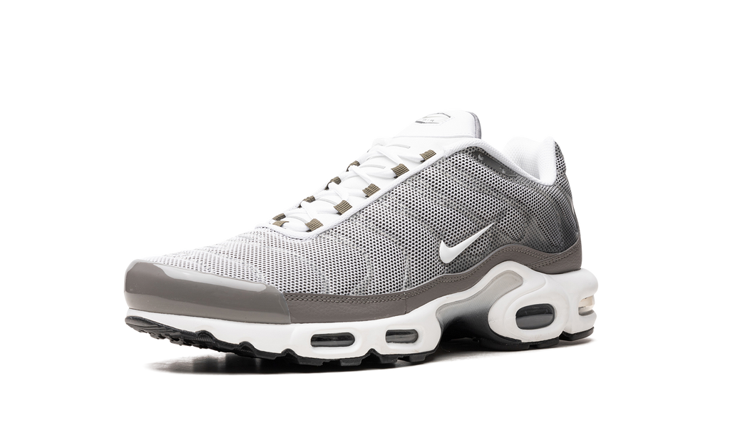 Nike Air Max Plus SE Flat Pewter DV7665 002