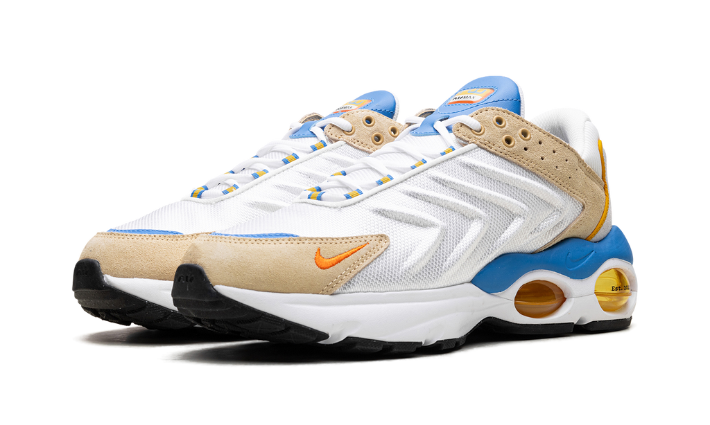 Nike Air Max TW Frank Rudy DV1232 100