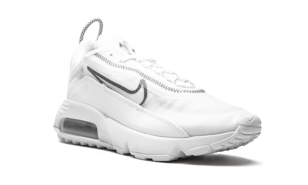 Nike AIR MAX 2090 MNS WMNS White / Black CK2612 100