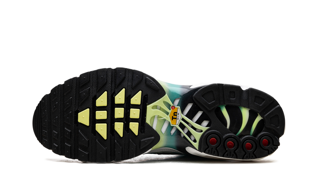 Nike Air Max Plus WMNS Dusty Cactus Barely Volt DZ3670 102