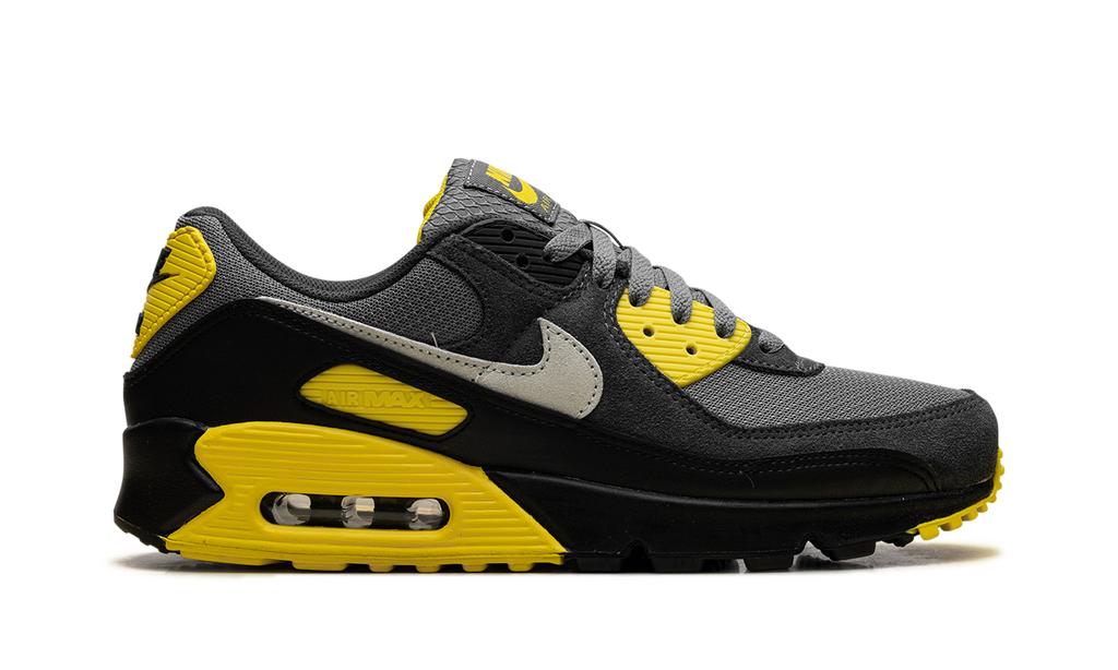 Nike Air Max 90 Smoke Grey Lightning DM0029 016