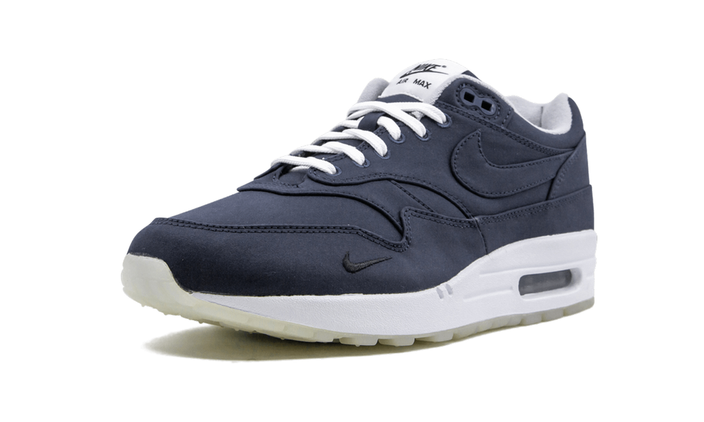 Nike Air Max 1 DSM AH8051 400